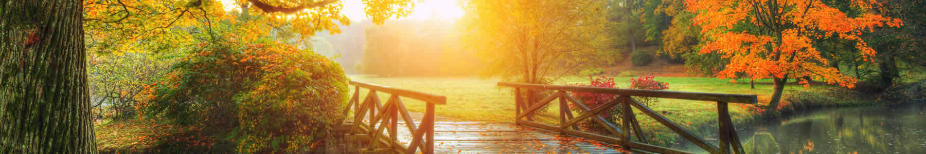 Workshops and Group Therapy Services from Obaar Counseling & Consulting in Moorhead, Minnesota.