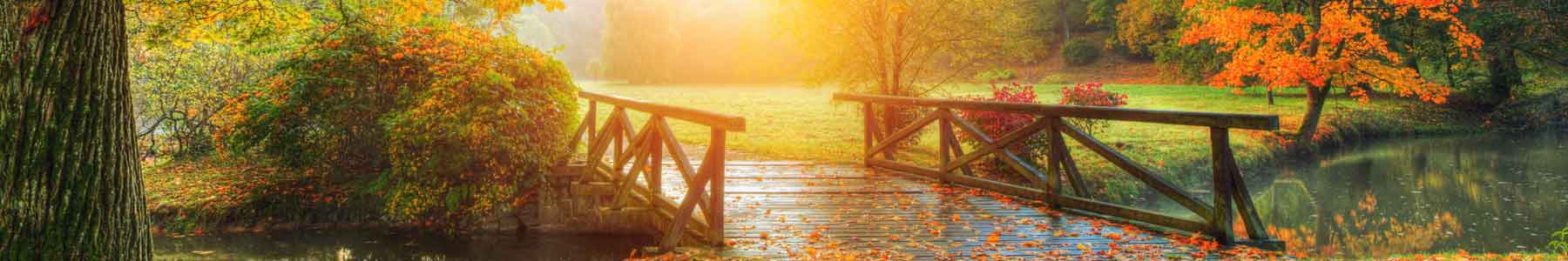 Obaar Counseling & Consulting - Default banner