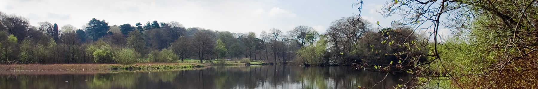 Contact Obaar Counseling & Consulting of Moorhead, Minnesota to find therapy services.