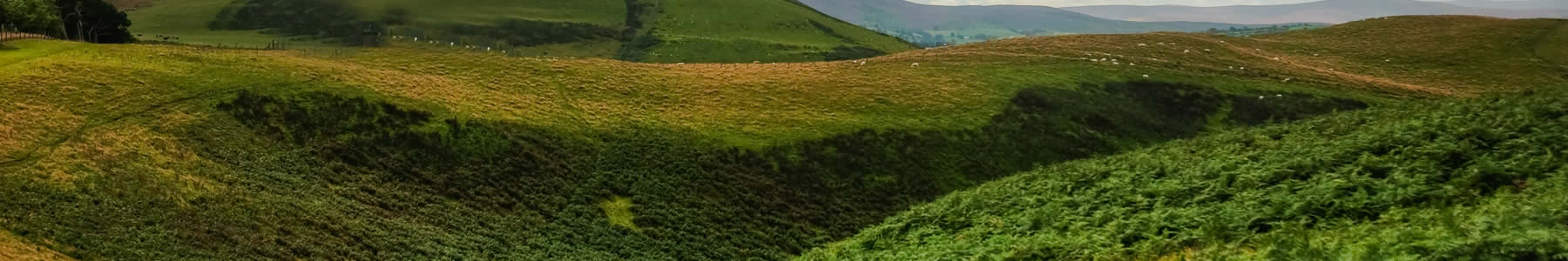 Mental Health and counseling services and therapy in Moorhead, Minnesota.