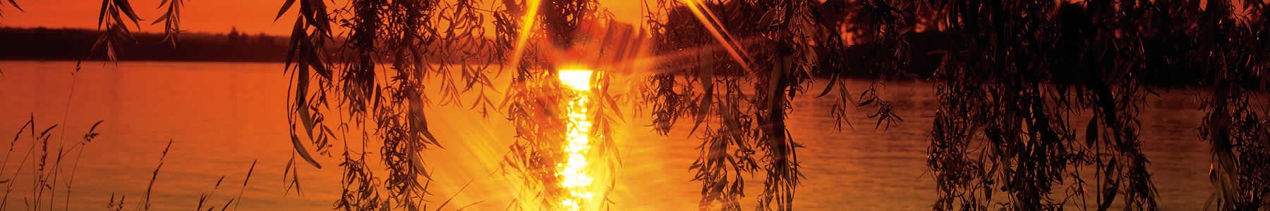 Special information about Obaar Counseling & Consulting in Moorhead, Minnesota.