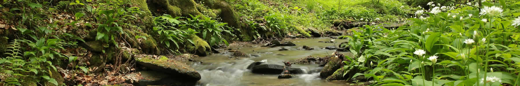 Get help with professional counseling and consulting from Obaar Counseling & Consulting of Moorhead, Minnesota.