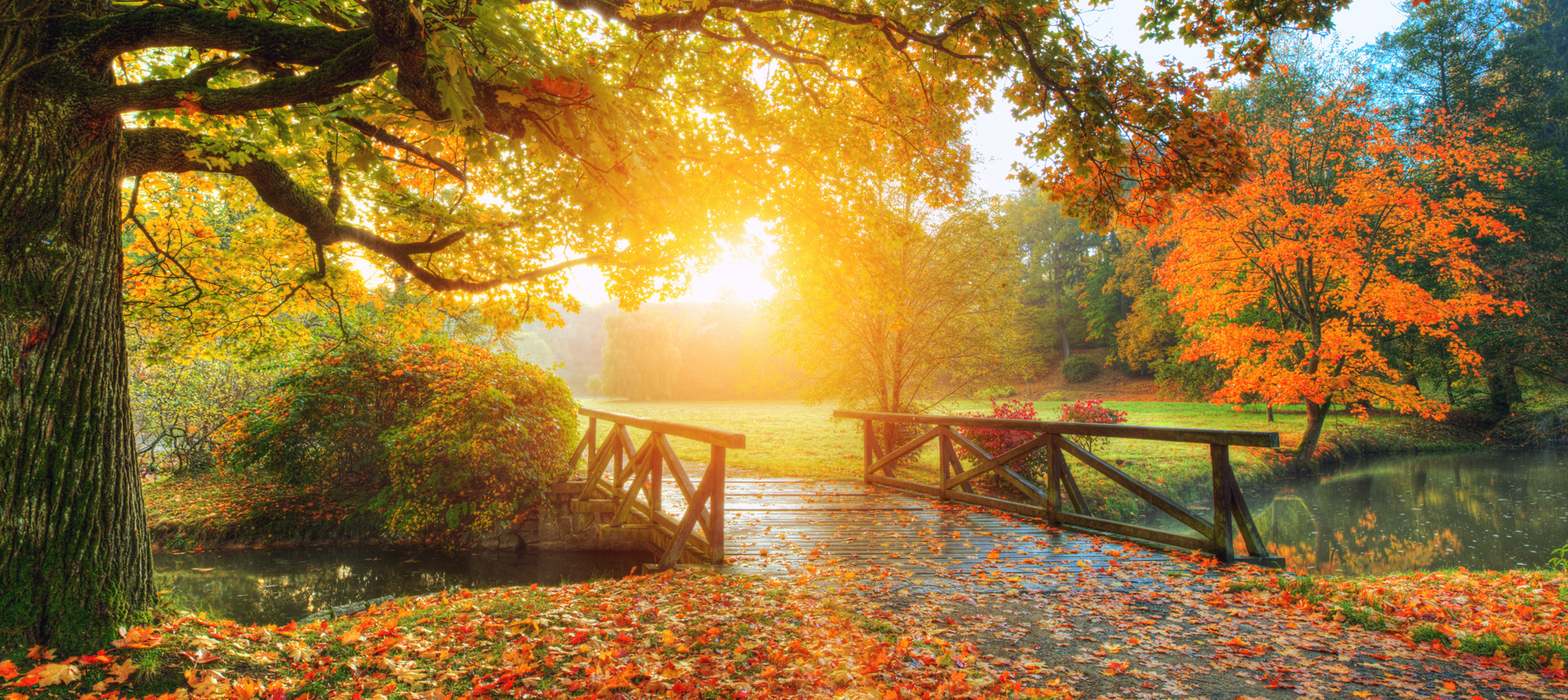 Home Page Header Image two